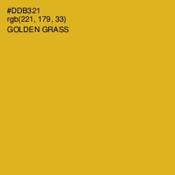 #DDB321 - Golden Grass Color Image